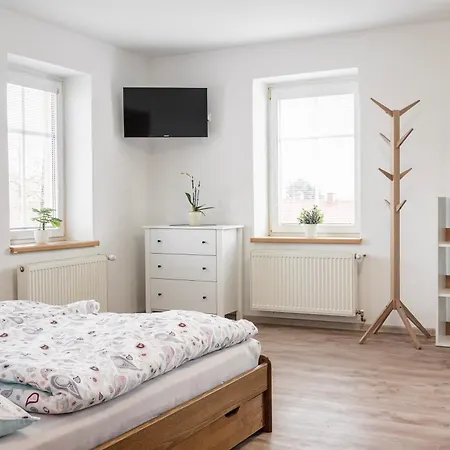 U Novotnych Apartament *