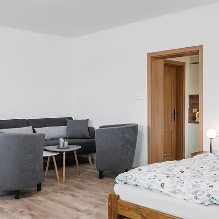U Novotnych Apartament
