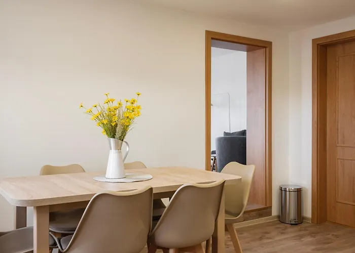 U Novotnych Appartement