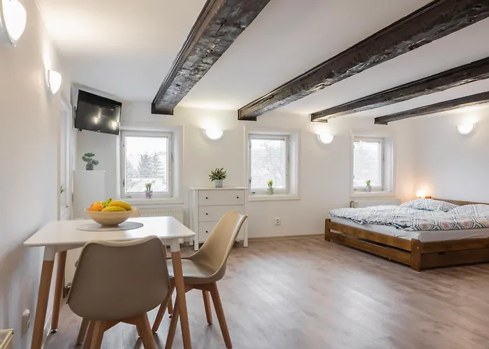 U Novotnych Appartement *